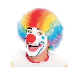 Colored Clown Wig